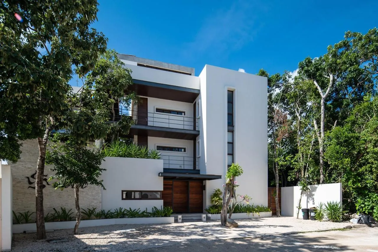 Cozy Studio In La Veleta Tulum With Gym And Pool Apartment