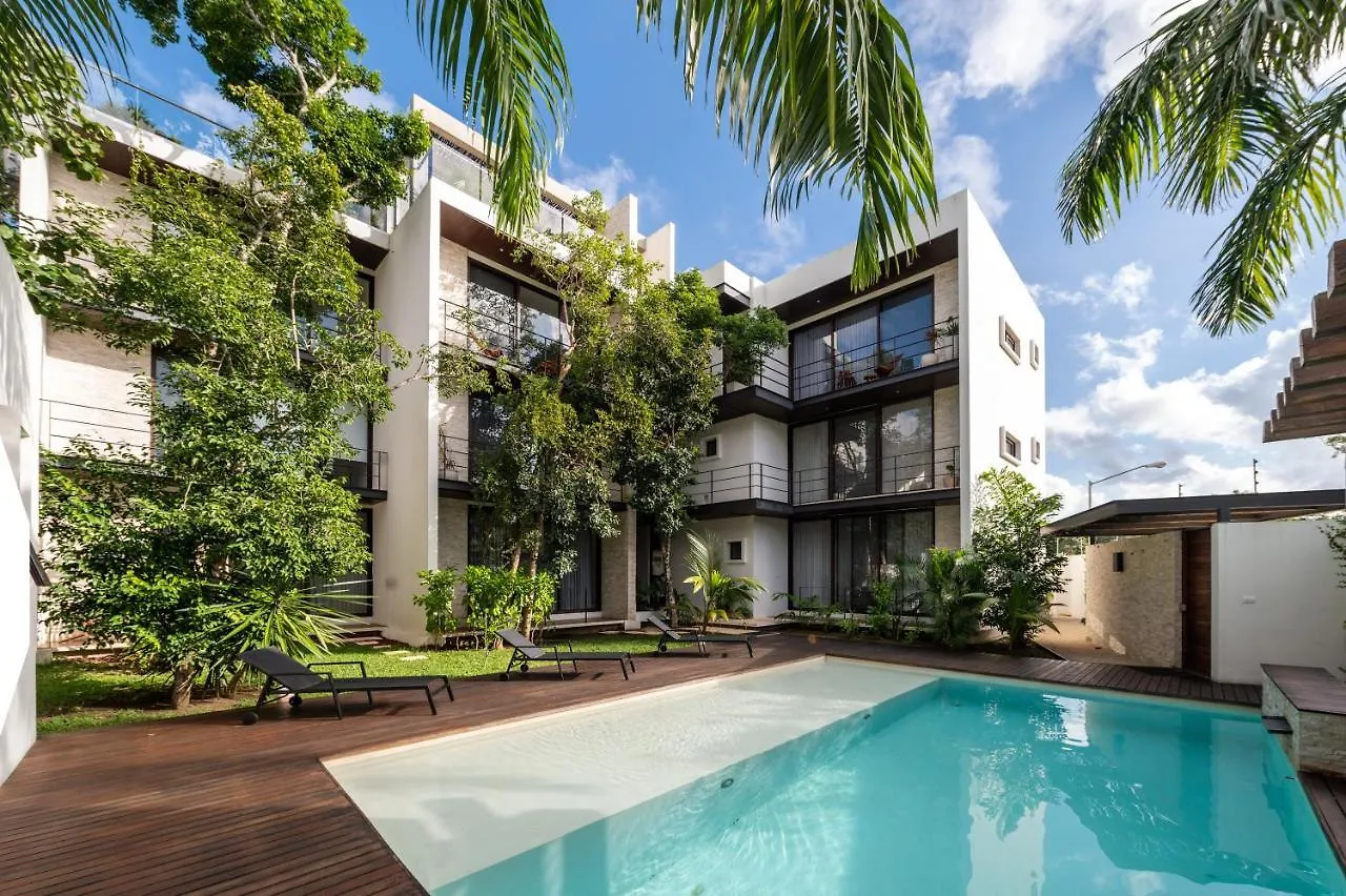 Cozy Studio In La Veleta Tulum With Gym And Pool Apartment